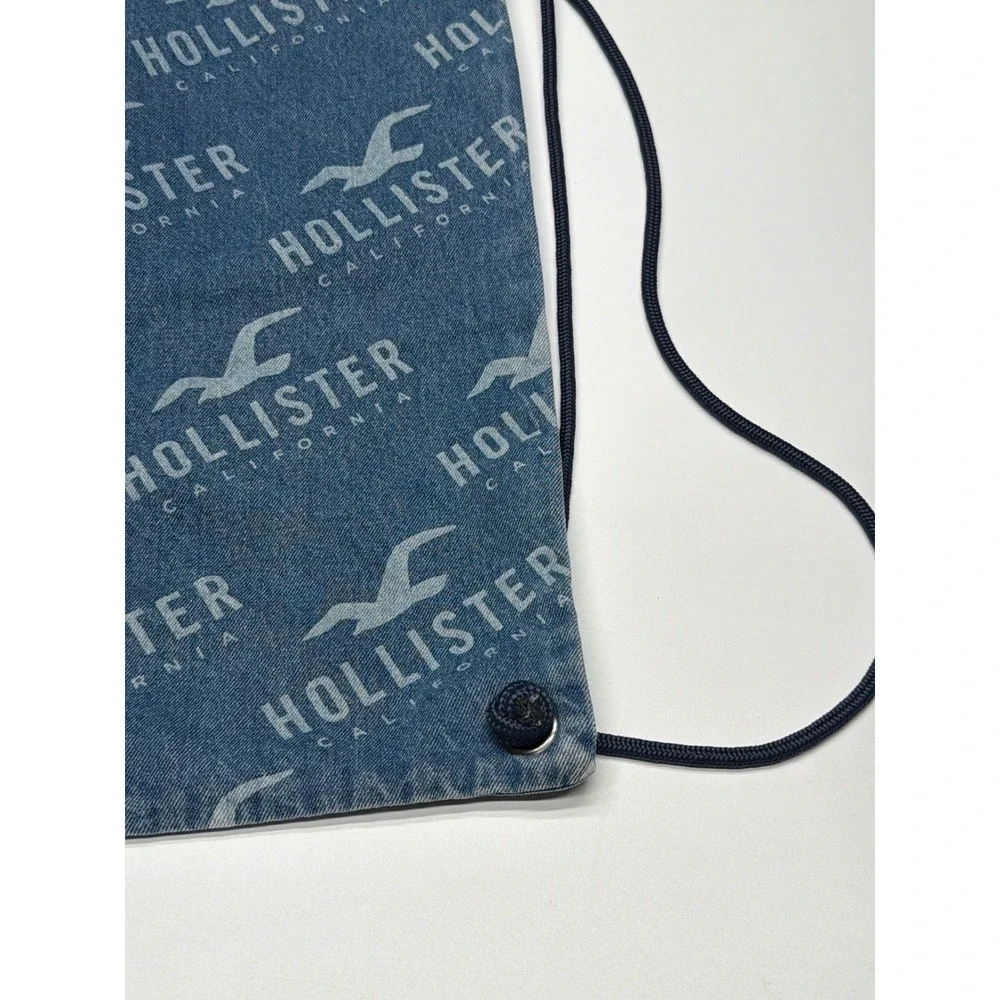 Hollister elevate your